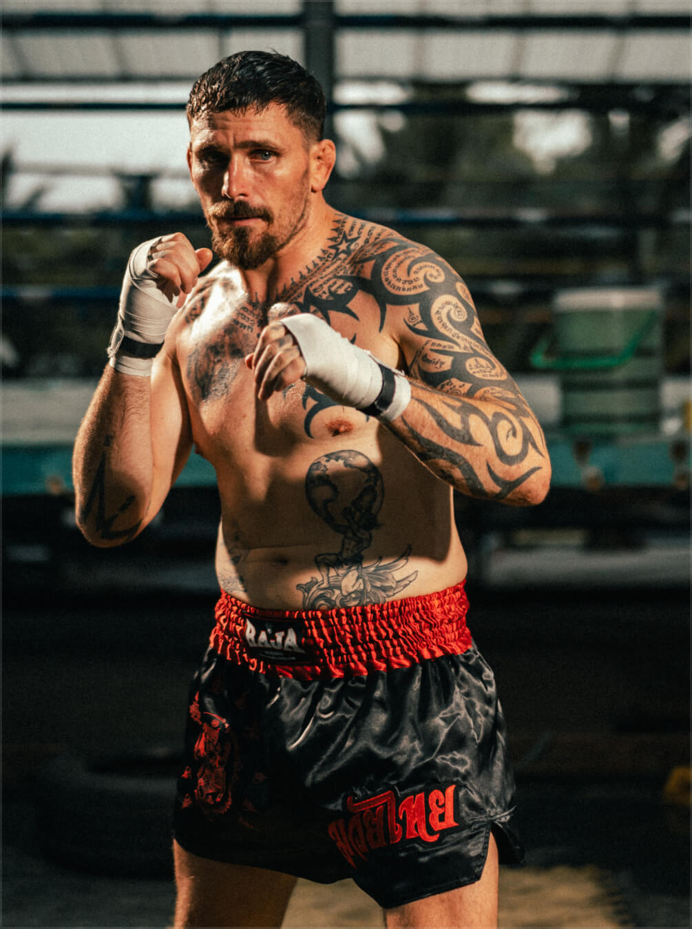 boxer